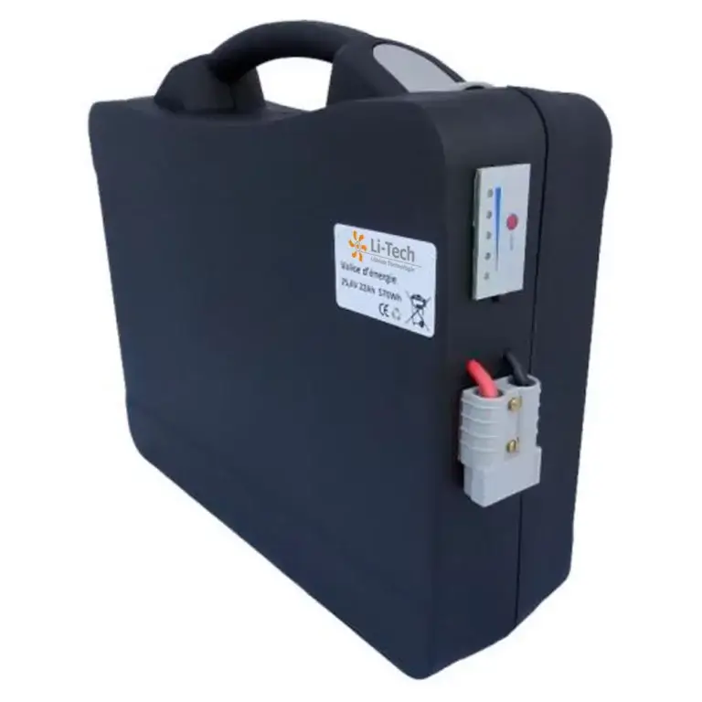 Valise d'énergie 24V 32Ah (LiFePO4) + chargeur 3A - LTVAL1001